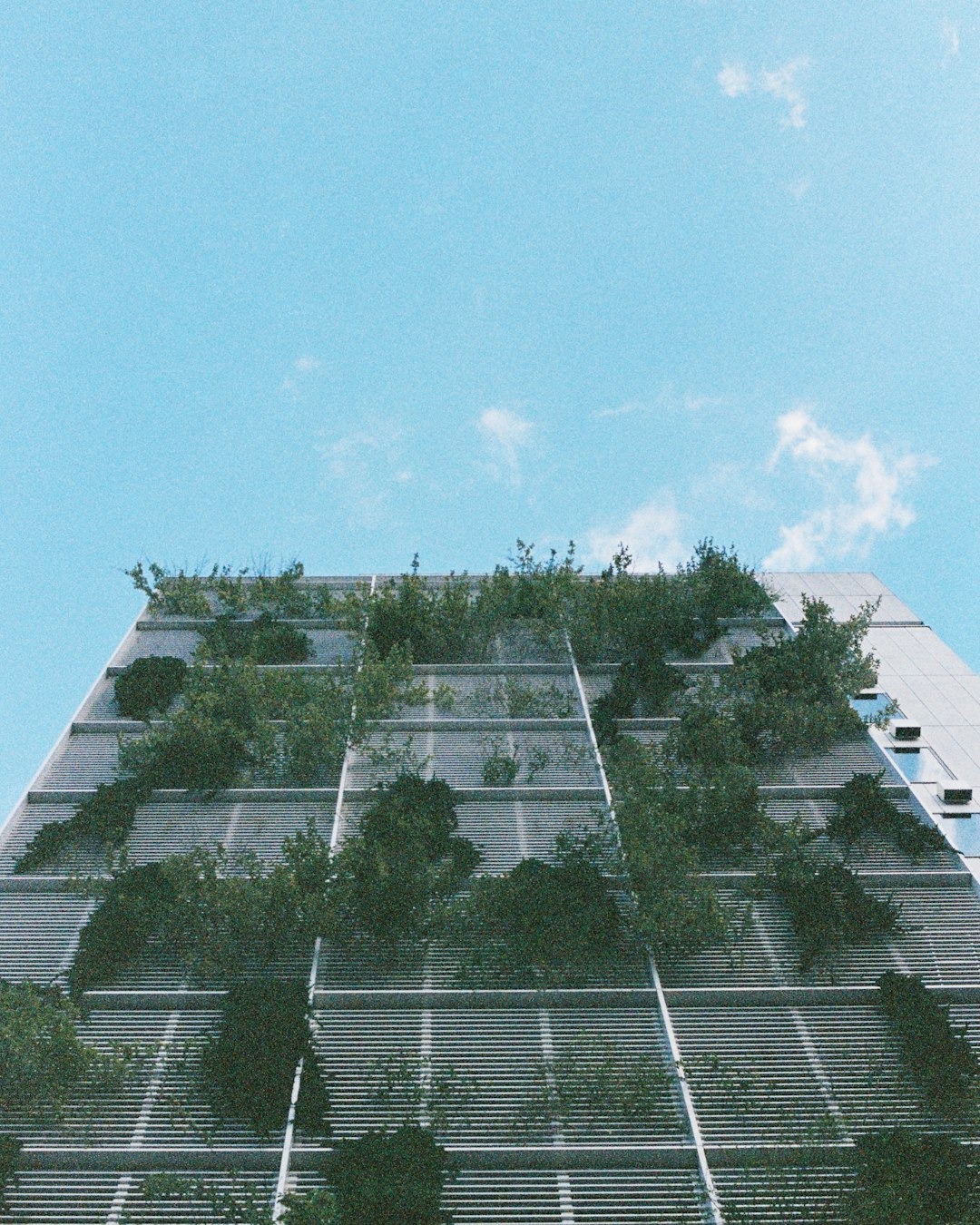 Façade végétalisée